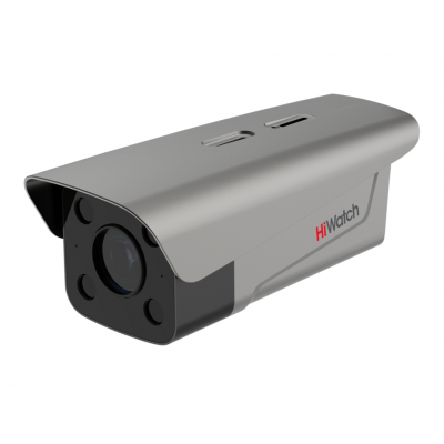 СКУД  DS-I256ANPR/2812(12V/PoE)